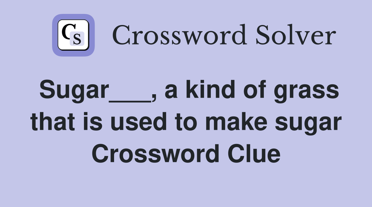 Sugar___, a kind of grass that is used to make sugar Crossword Clue